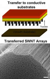 0817_Transfer_scheme