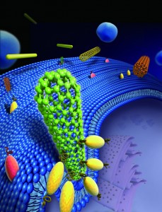 Nanotips1