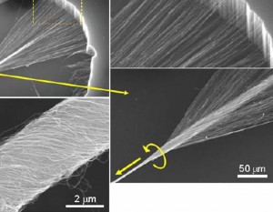 大量の多層CNTを引き出して、ねじり、糸状にしているところ (Courtesy of the University of Texas at Dallas)