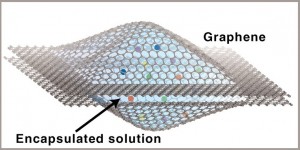 Zettl-graphene-sandwich