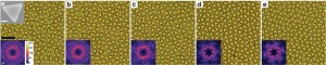 ncomms1803-f1