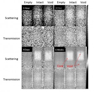 図2 散乱法(scattering)と透過法(transmission)による宇宙線ラジオグラフィ撮像のシミュレーション。散乱法では、時間の経過とともに炉心内部の詳しいイメージングができる(Konstantin Borozdin et al., Phys. Rev. Lett.(2012) doi:10.1103/PhysRevLett.109.152501)