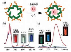 (a) ミセルによる色素分子(G = DCM, NR)の内包。(b) 水中でのミセルおよび色素分子を 内包したミセルの写真と紫外可視吸収スペクトル。(c) ミセルおよび色素分子を内包したミセル の紫外光照射下(370 nm)での写真と蛍光スペクトル (出所:東京工業大学)