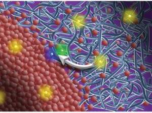 高分子・フラーレン薄膜太陽電池のドナー/アクセプター界面の図解。赤い点がフラーレン誘導体、青い線がPTB7分子鎖。黄色の点が励起子、紫と緑の点のペアが電子正孔対を表している (Source: Lawrence Berkeley National Laboratory)