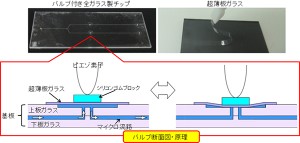 図2 超薄板ガラスを用いたバルブ付き全ガラス製マイクロチップとバルブ駆動原理。ピエゾ素子に電圧を加えると、クッションとなるシリコンゴムブロックを通して超薄膜ガラスがしなり、流路がふさがる (出所:理研)