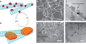 図2 酸素還元触媒および酸素発生触媒の構造と顕微鏡像 (Yanguang Li et al., Nature Communications (2013) doi: 10.1038/ncomms2812)