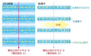 今回発見された巨大な磁気抵抗効果のメカニズムの模式図。磁場中(右図)では、伝導電子がローレンツ力による蛇行運動のためにパラジウム層内に強く閉じ込められるようになるため、層と層の間を電子が飛び移りにくくなって電気抵抗が大きくなる (出所:首都大学東京)