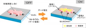 デバイス模式図とスイッチングの様子。左のOFF状態ではκ-Brが絶縁体(桃色)となっているが、ゲート電圧をかけると超伝導体(黄色)が島状に出現し、島と島が互いにつながるとスイッチがONになる (出所:分子科学研究所)