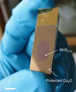 実際のデバイスの写真。スケールバー:5mm (Carlos G. Morales-Guio et al., Nature Communications (2014) doi:10.1038/ncomms4059)